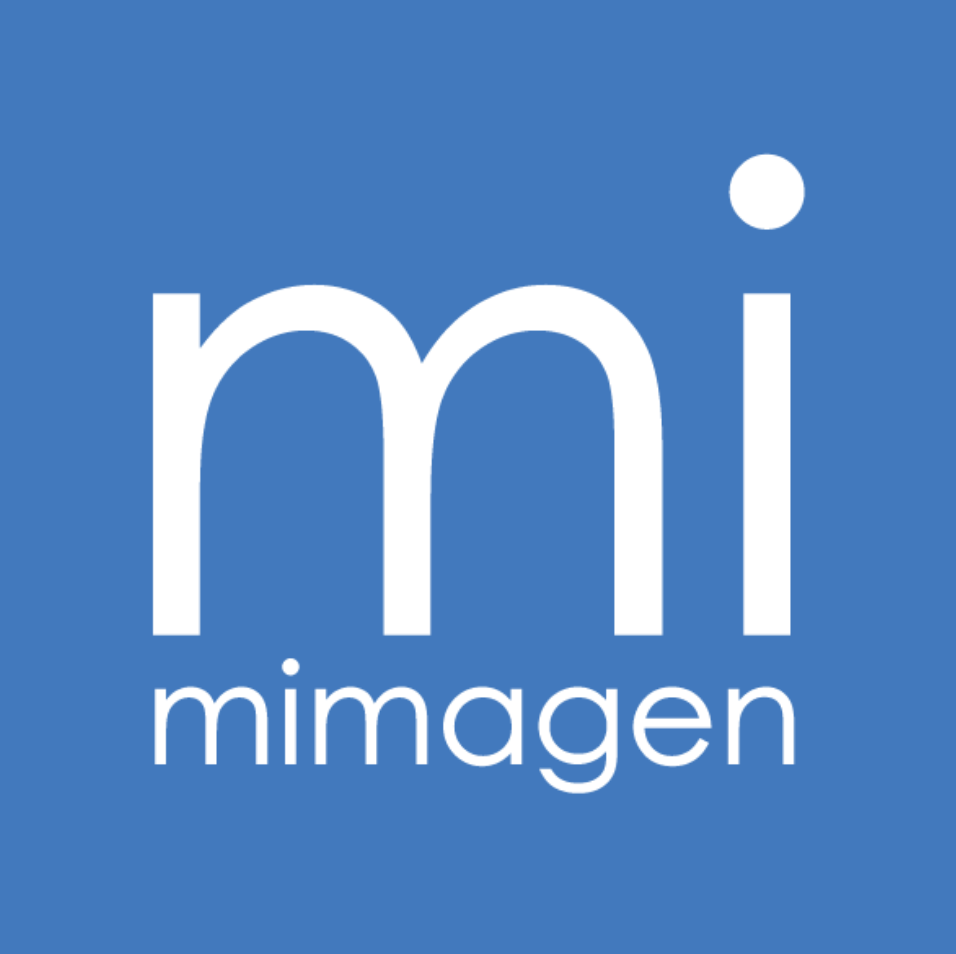 Logo Mimagen correcto